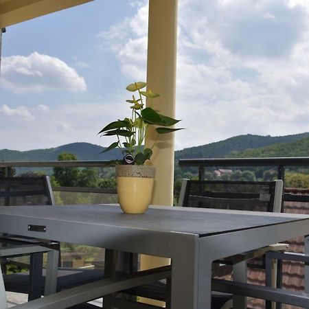 Le Brin D'Osier Apartment Kaysersberg-Vignoble Bagian luar foto
