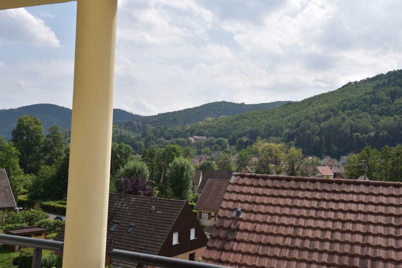 Le Brin D'Osier Apartment Kaysersberg-Vignoble Bagian luar foto