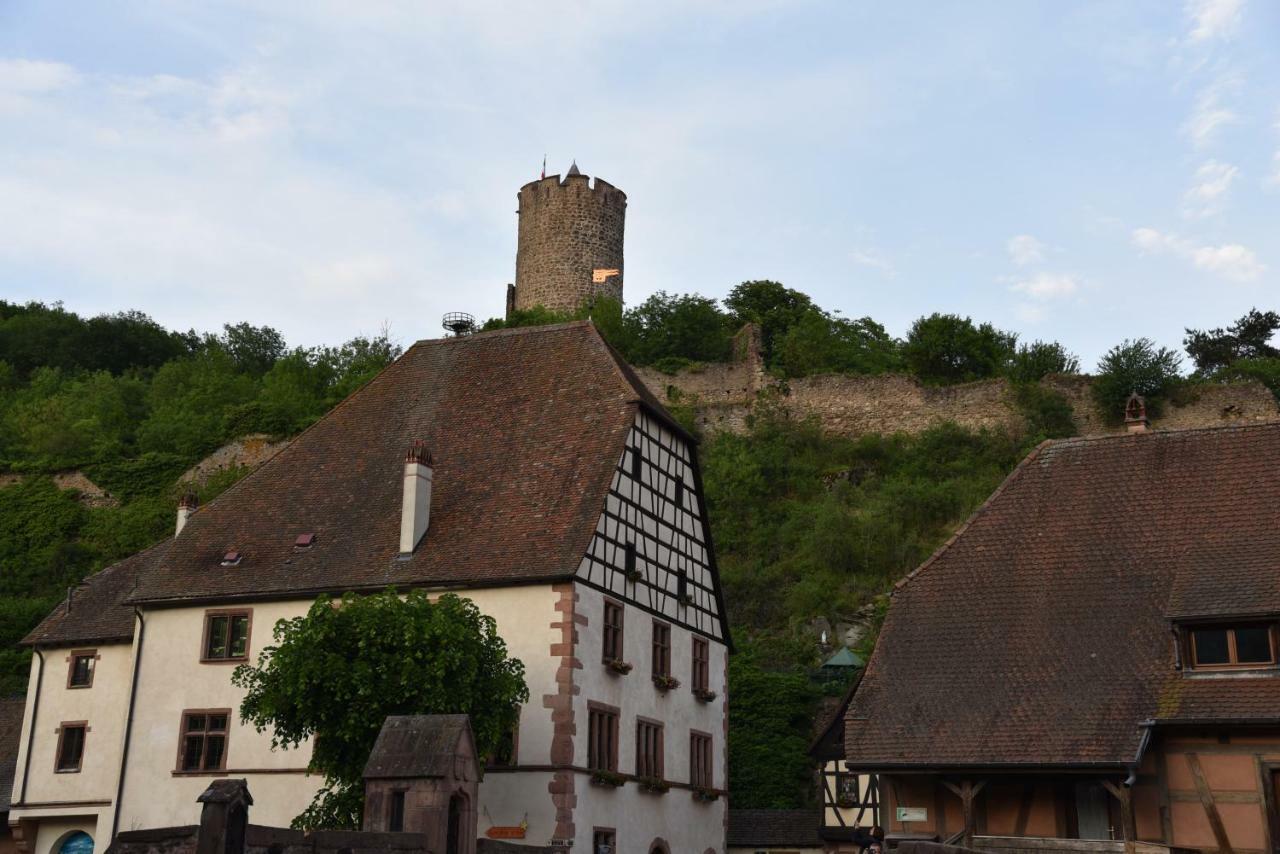 Le Brin D'Osier Apartment Kaysersberg-Vignoble Bagian luar foto