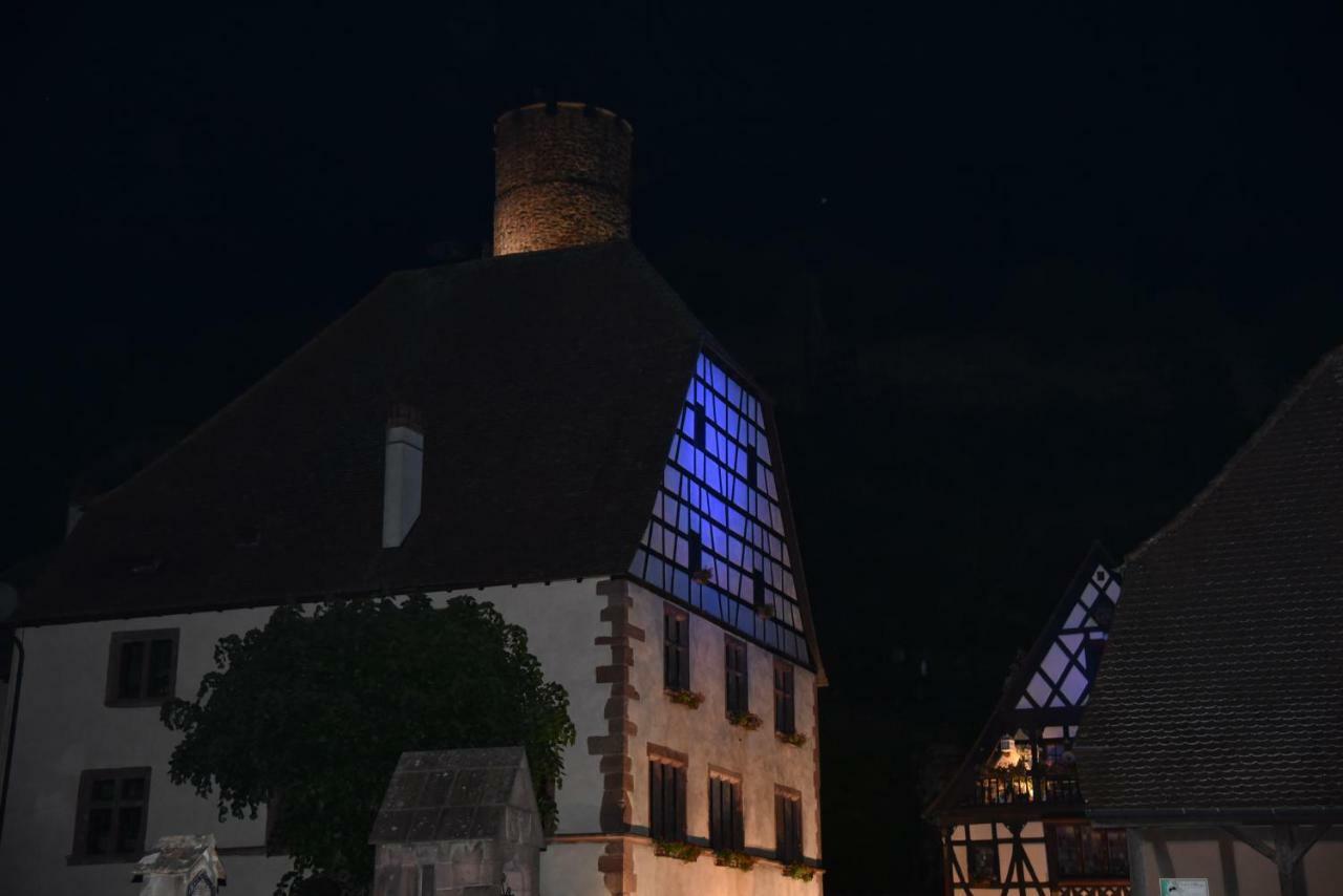 Le Brin D'Osier Apartment Kaysersberg-Vignoble Bagian luar foto