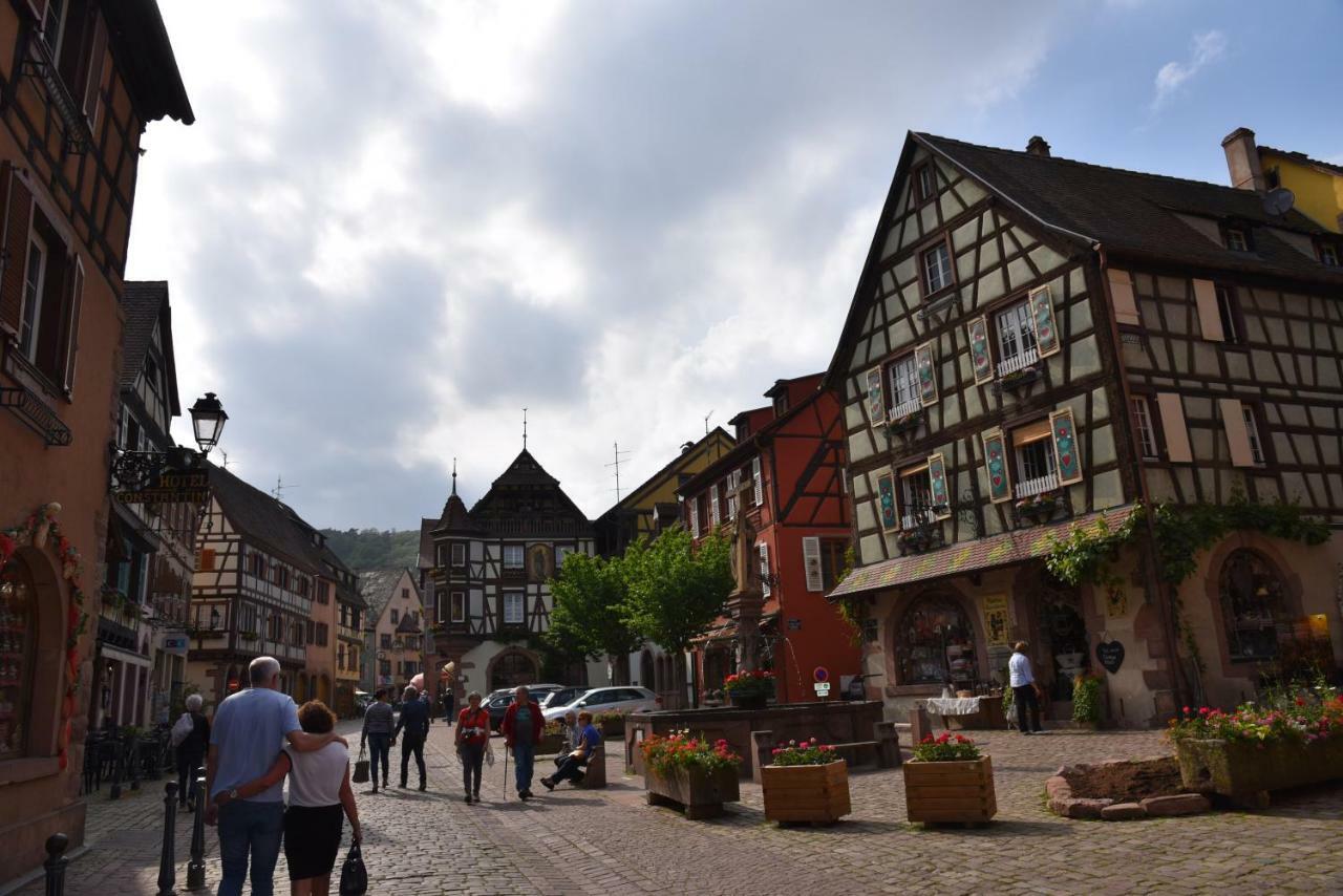 Le Brin D'Osier Apartment Kaysersberg-Vignoble Bagian luar foto