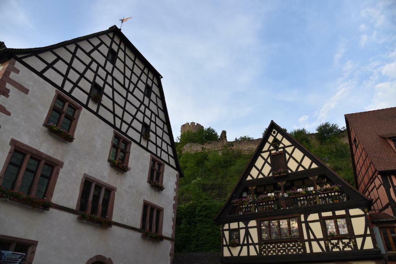 Le Brin D'Osier Apartment Kaysersberg-Vignoble Bagian luar foto